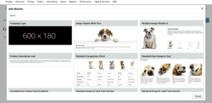 Example of the A+ Content manager